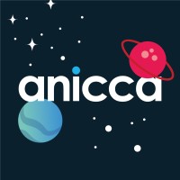 Anicca Digital Marketing Agency