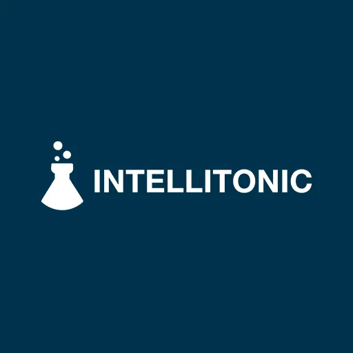 Intellitonic Digital Marketing Agency