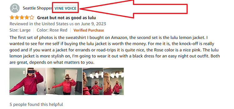 Amazon Vine Voice leaving review