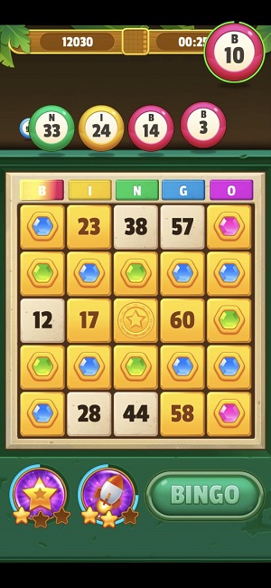 Bingo Raider gameplay